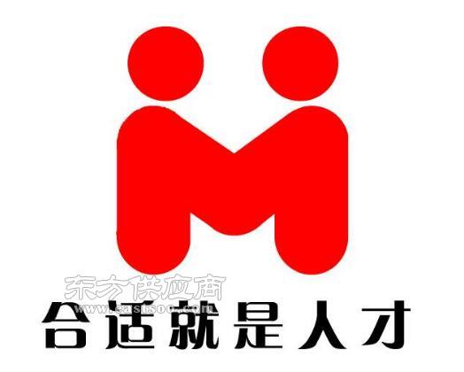 福建人力资源信息咨询服务 解析邯郸市可靠人力资源信息咨询的选择标准